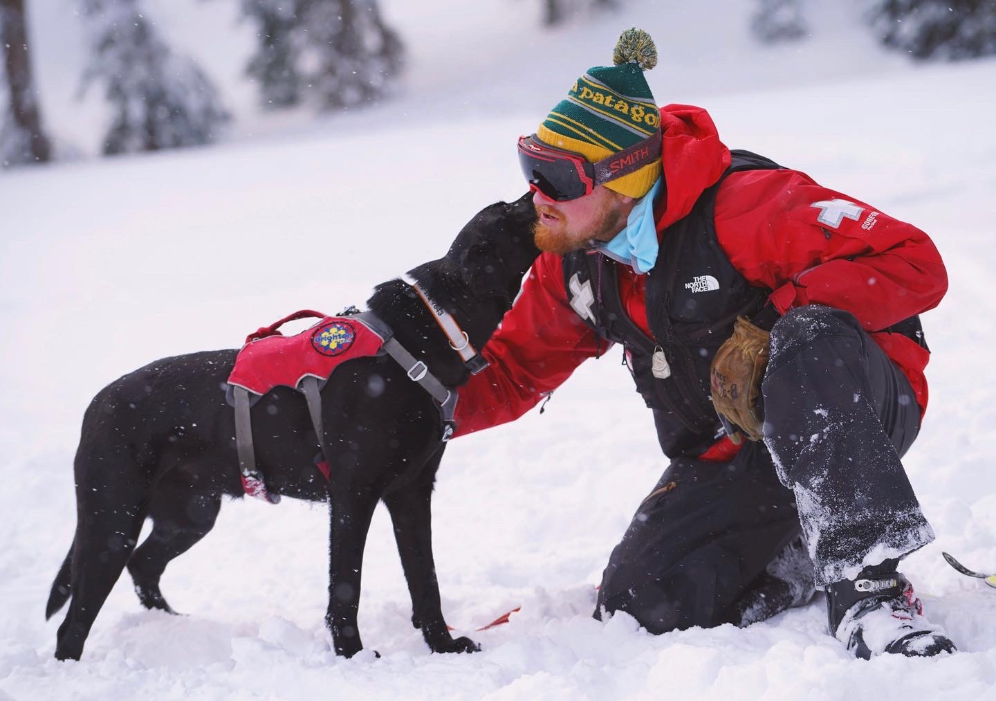 A Brighton ski patroller and his avy dog. Tucker & Tela